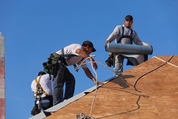 Best Local Roofing Companies  in Wheelersburg, OH