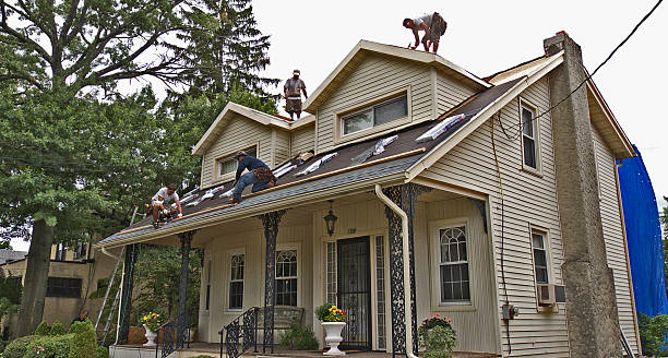 Best Roof Gutter Cleaning  in Wheelersburg, OH