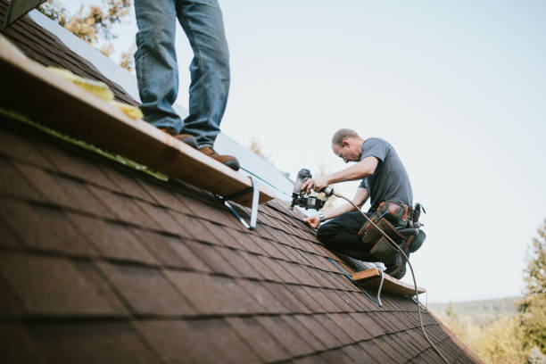Best Roofing Contractor Near Me  in Wheelersburg, OH