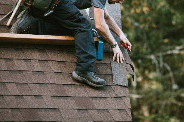 Best Roof Gutter Cleaning  in Wheelersburg, OH