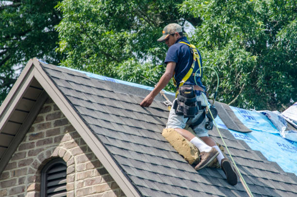 Best Shingle Roofing Installation  in Wheelersburg, OH